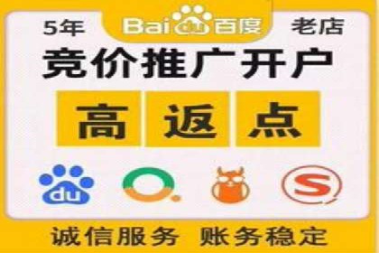 SEM代运营托管公司案例深度解读